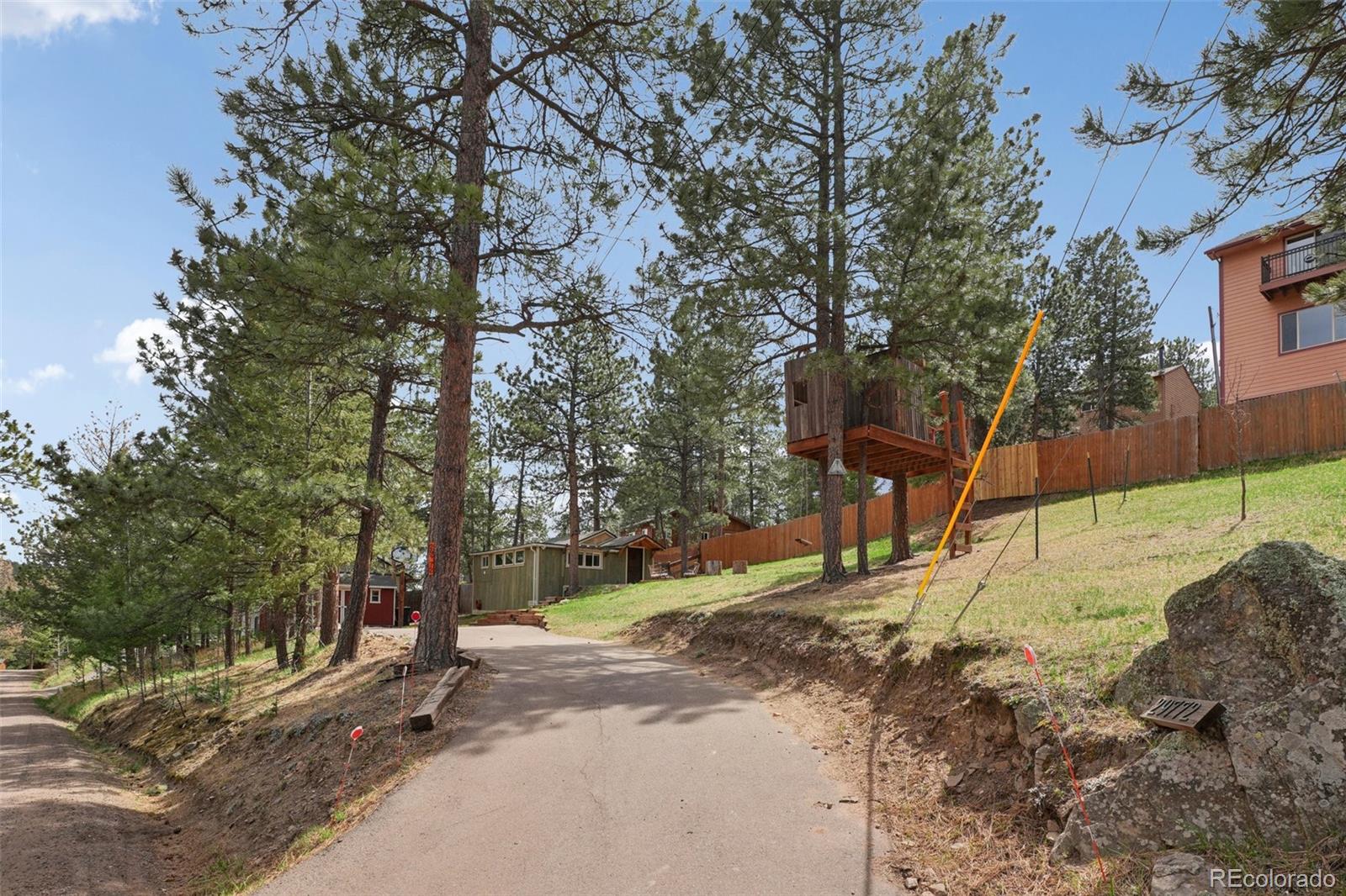 29772 Spruce Road Evergreen, CO 80439 - Photo 2 of 9 a view of a yard with plants and trees