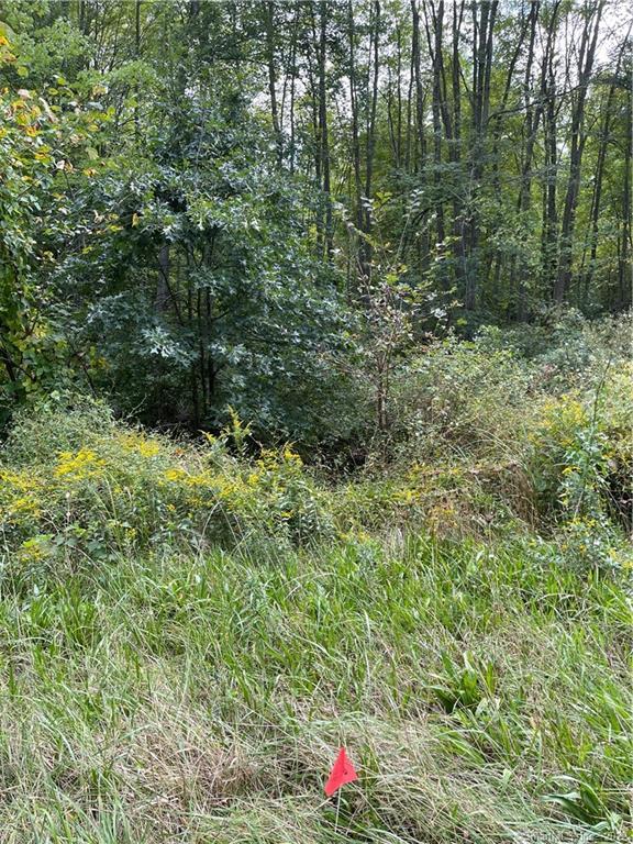 7 North Road East Windsor, CT 06088 - Photo 1 of 1