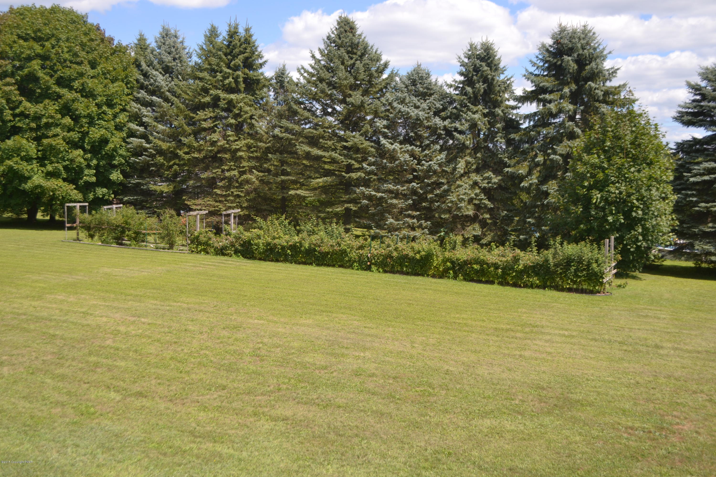 782 Molasses Valley Road Kunkletown, PA 18058 - Photo 21 of 44 DSC_1296
