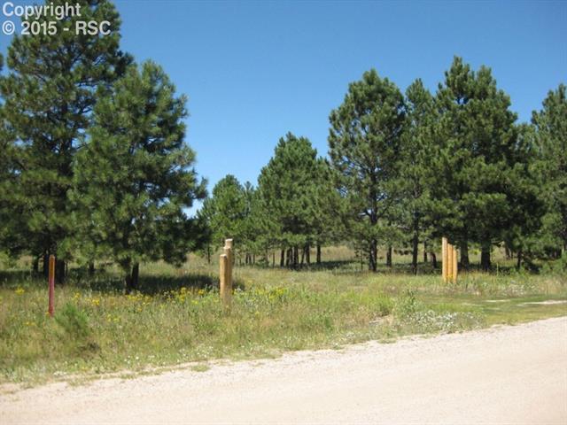 10620 Huntsman Road Colorado Springs, CO 80908 - Photo 2 of 12