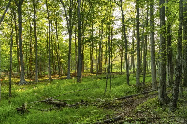 $459,900 | 10840 Torch Light Lane, Central Lake, MI 49622