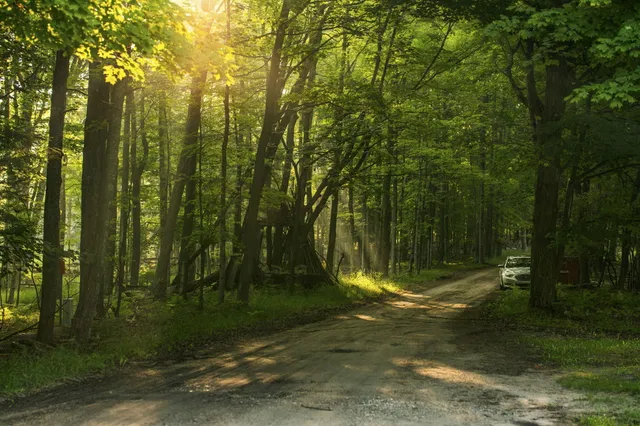 $459,900 | 10840 Torch Light Lane, Central Lake, MI 49622