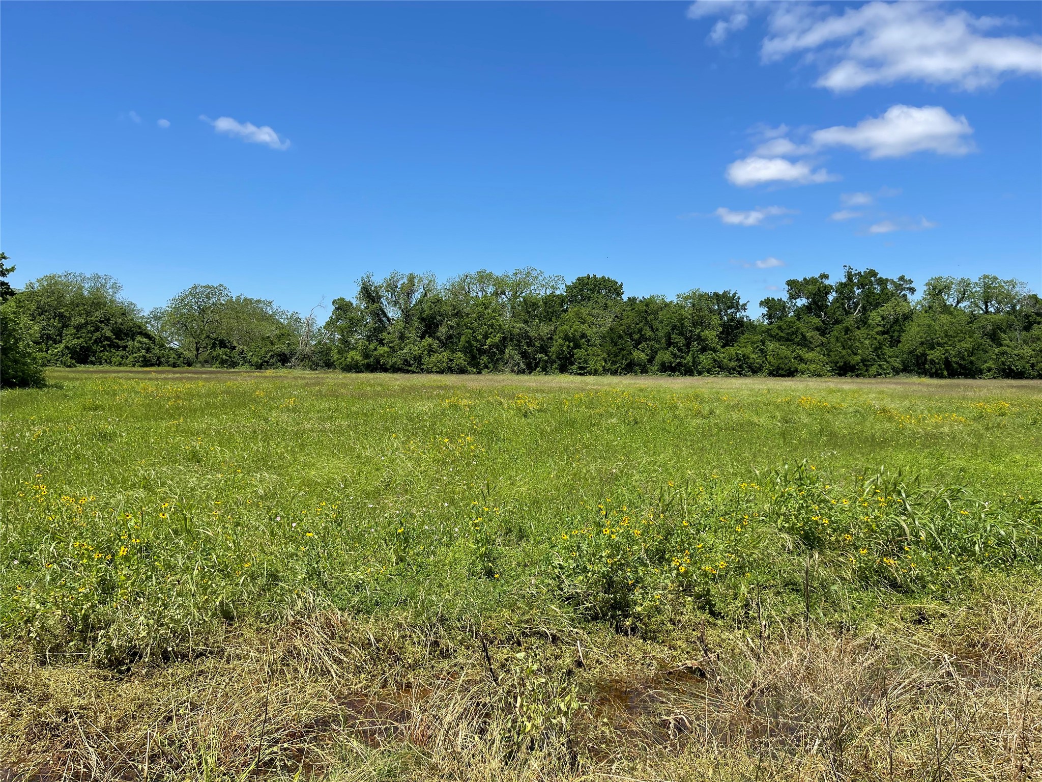 a view of field with trees in the background