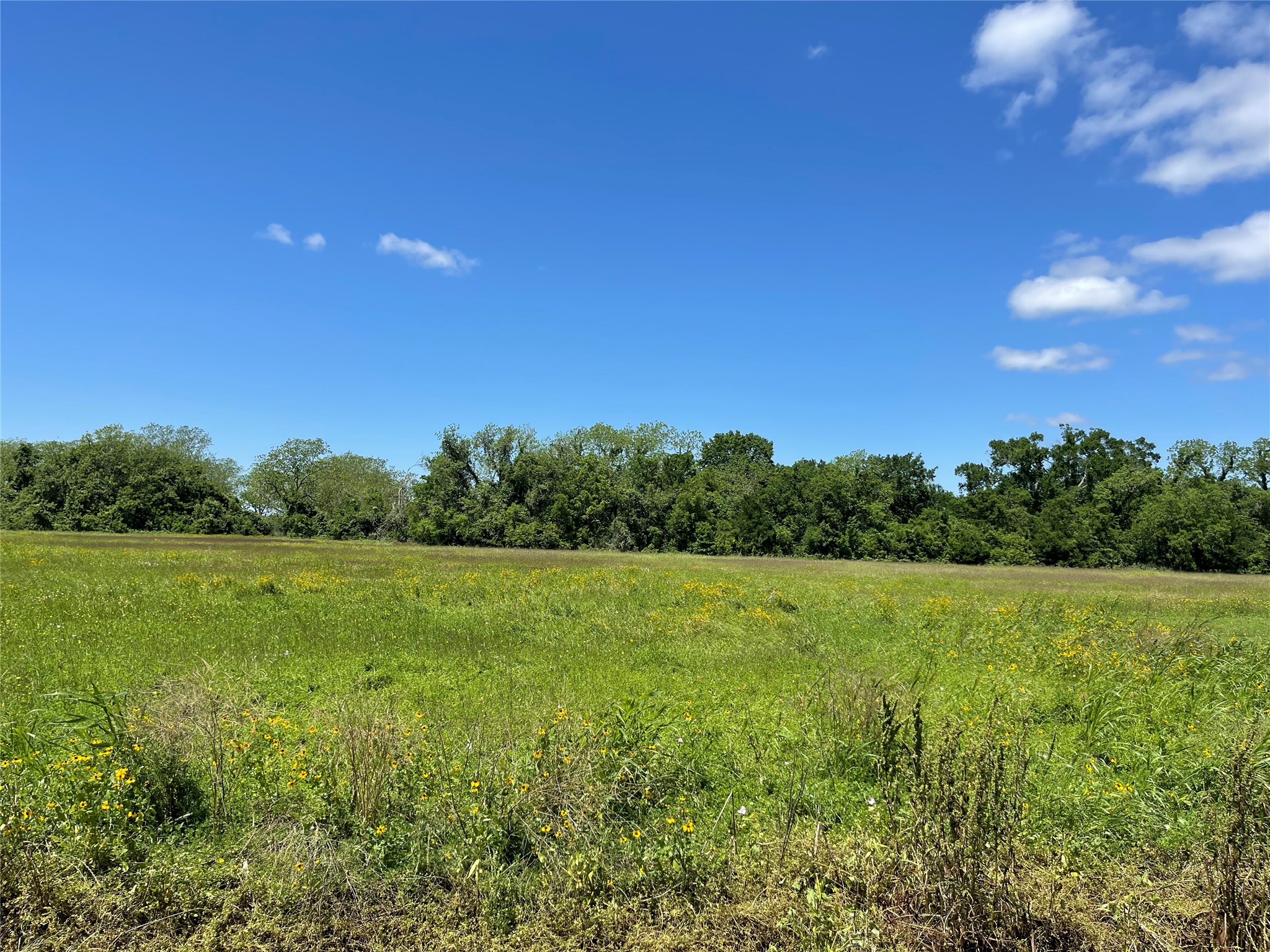 245 County Road 245 Wharton, TX 77488 - Photo 4 of 5 a view of outdoor space and yard