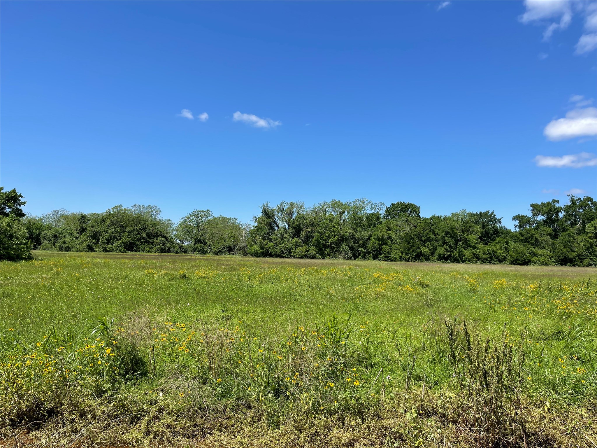 245 County Road 245 Wharton, TX 77488 - Photo 5 of 5 a view of field with lush green space