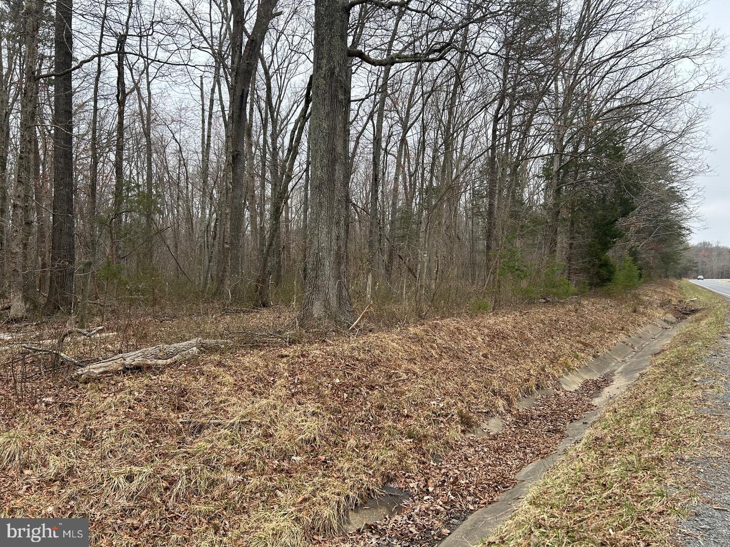 Swan Woods Road Rhoadesville, VA 22542 - Photo 1 of 2 Lot with frontage on Constitution Hwy