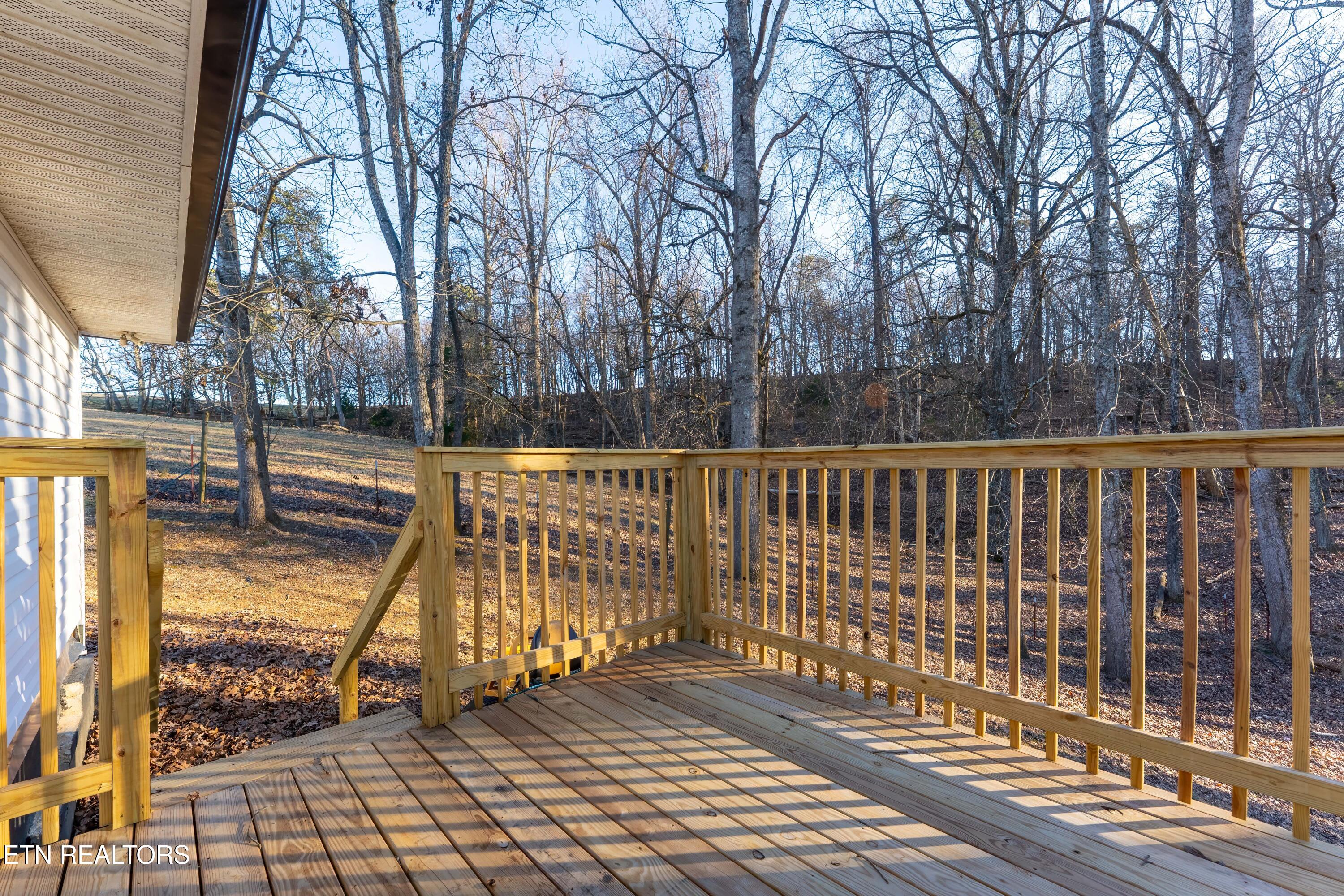 1961 Baldwin Cate Road New Market, TN 37820 - Photo 31 of 45 _DSC9264-HDR-Edit-Edit-2