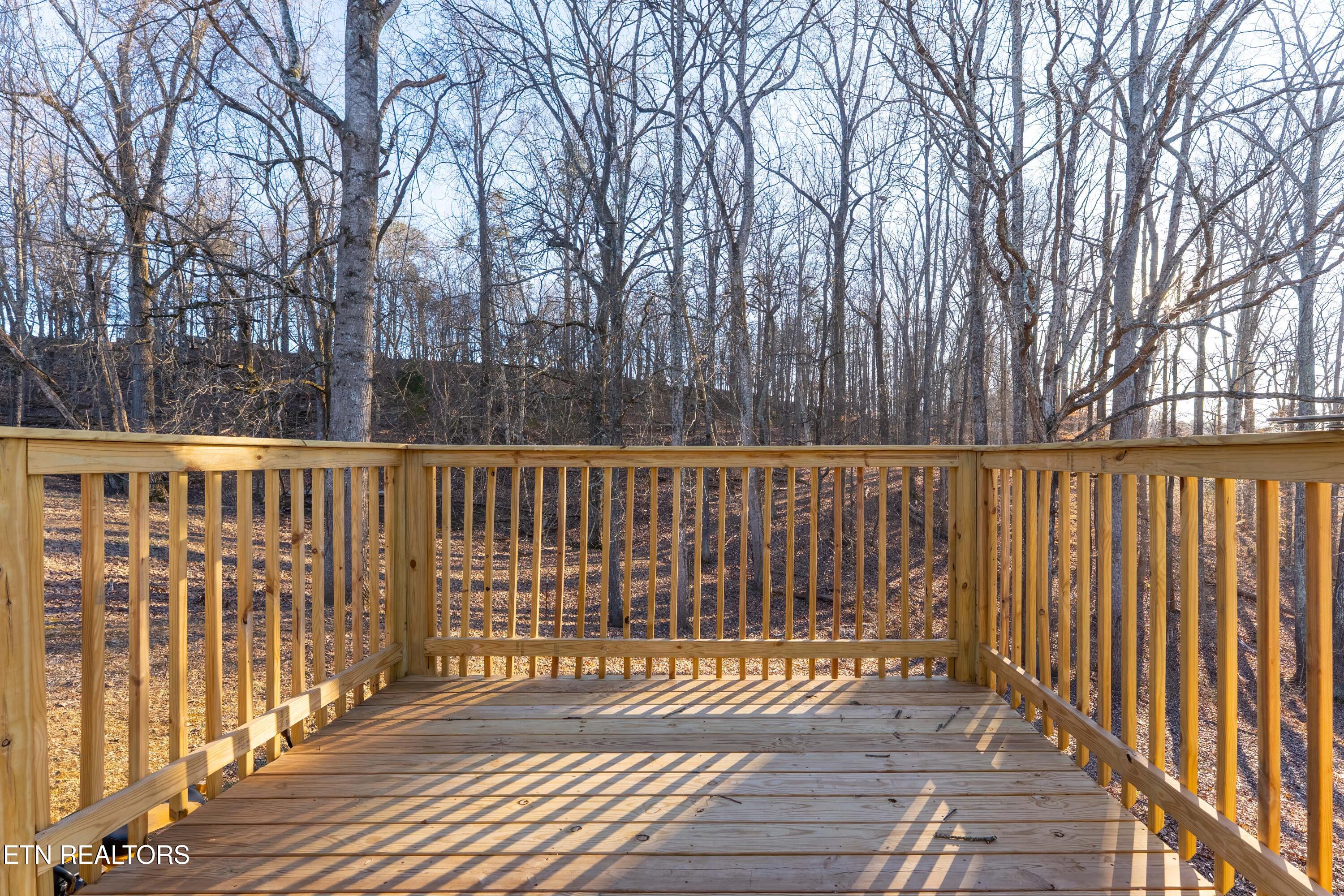 1961 Baldwin Cate Road New Market, TN 37820 - Photo 32 of 45 _DSC9267-HDR-Edit-Edit-2