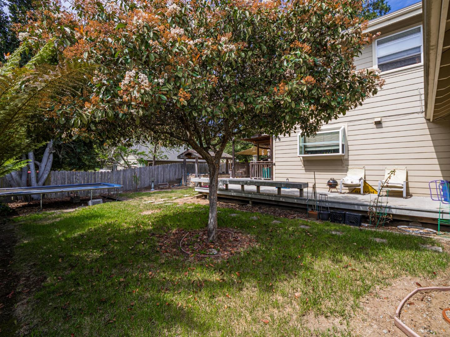 209 Hames Road Watsonville, CA 95076 - Photo 42 of 60 a backyard of a house with barbeque oven and trees