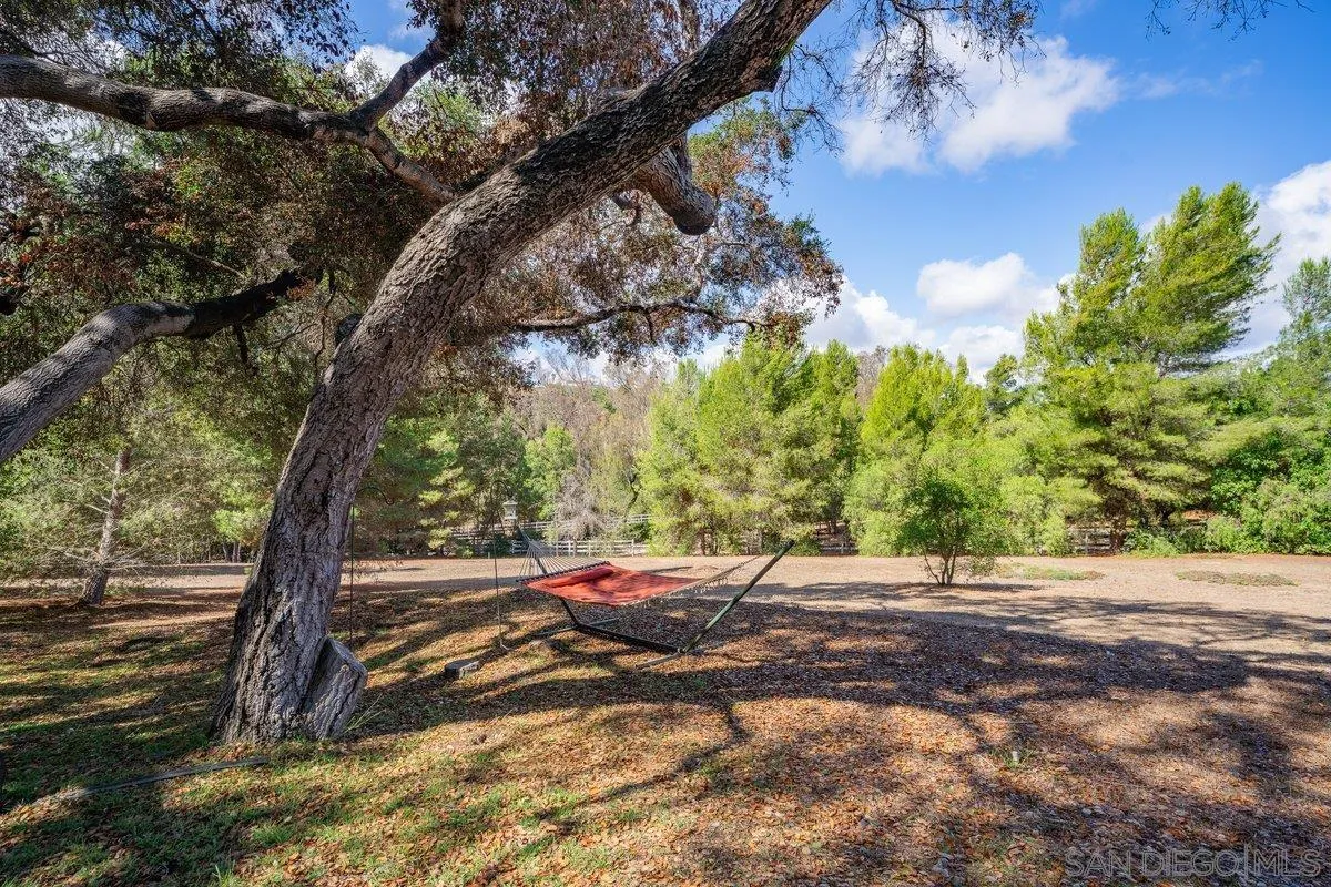 11 Country Glen Road Fallbrook, CA 92028 - Photo 51 of 75 a view of a yard with plants and a tree