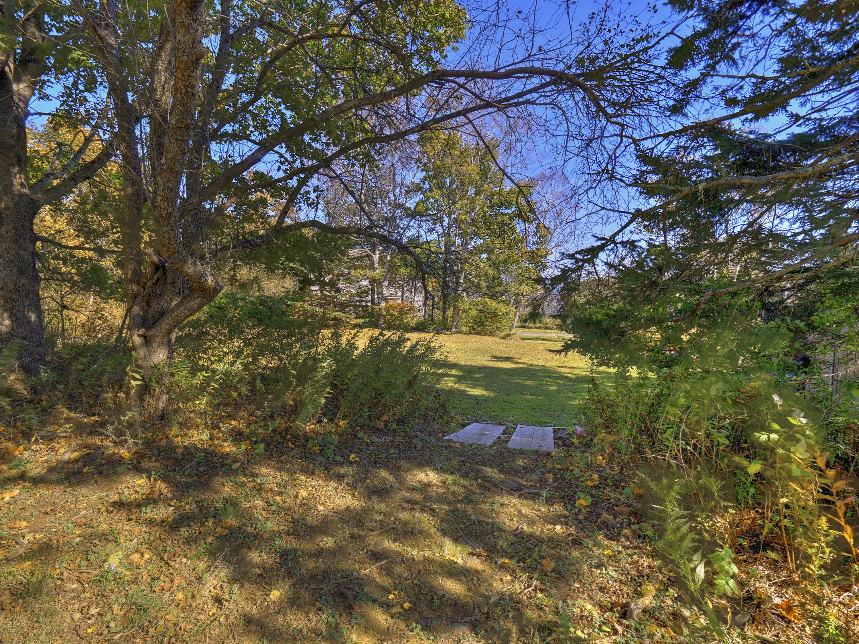 15 Ash Is Vw Road Owls Head, ME 04854 - Photo 38 of 64 View of Yard