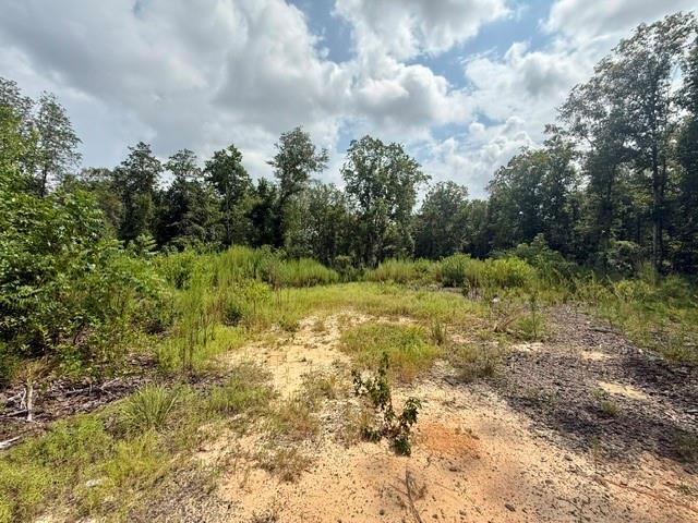 Tbd Martin Road Mount Hermon, LA 70450 - Photo 14 of 18 Gallery Image 14