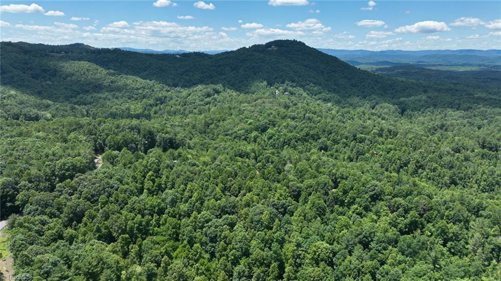 290 Mars Mountain Road Boomer, NC 28606 - Photo 47 of 50 Gallery Image 47