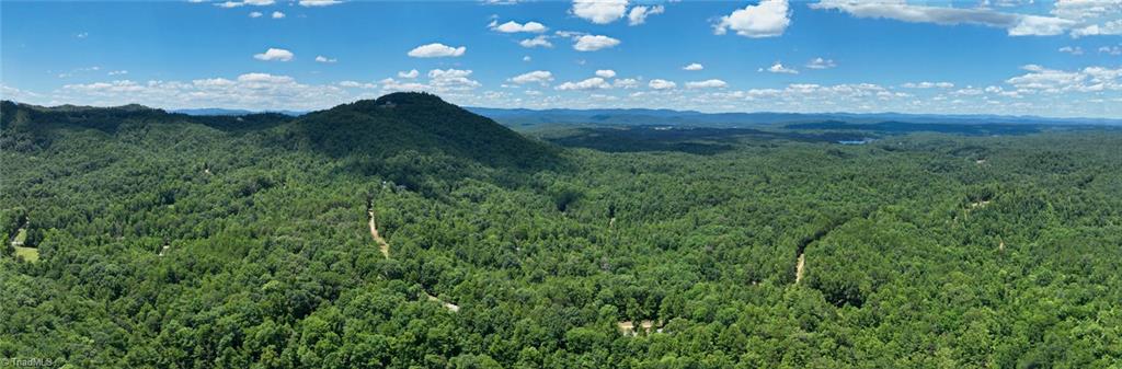 290 Mars Mountain Road Boomer, NC 28606 - Photo 48 of 50 Gallery Image 48