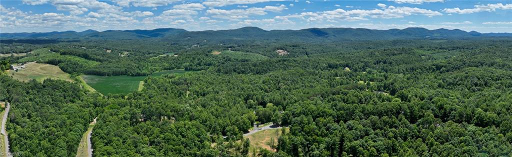 290 Mars Mountain Road Boomer, NC 28606 - Photo 50 of 50 Gallery Image 50