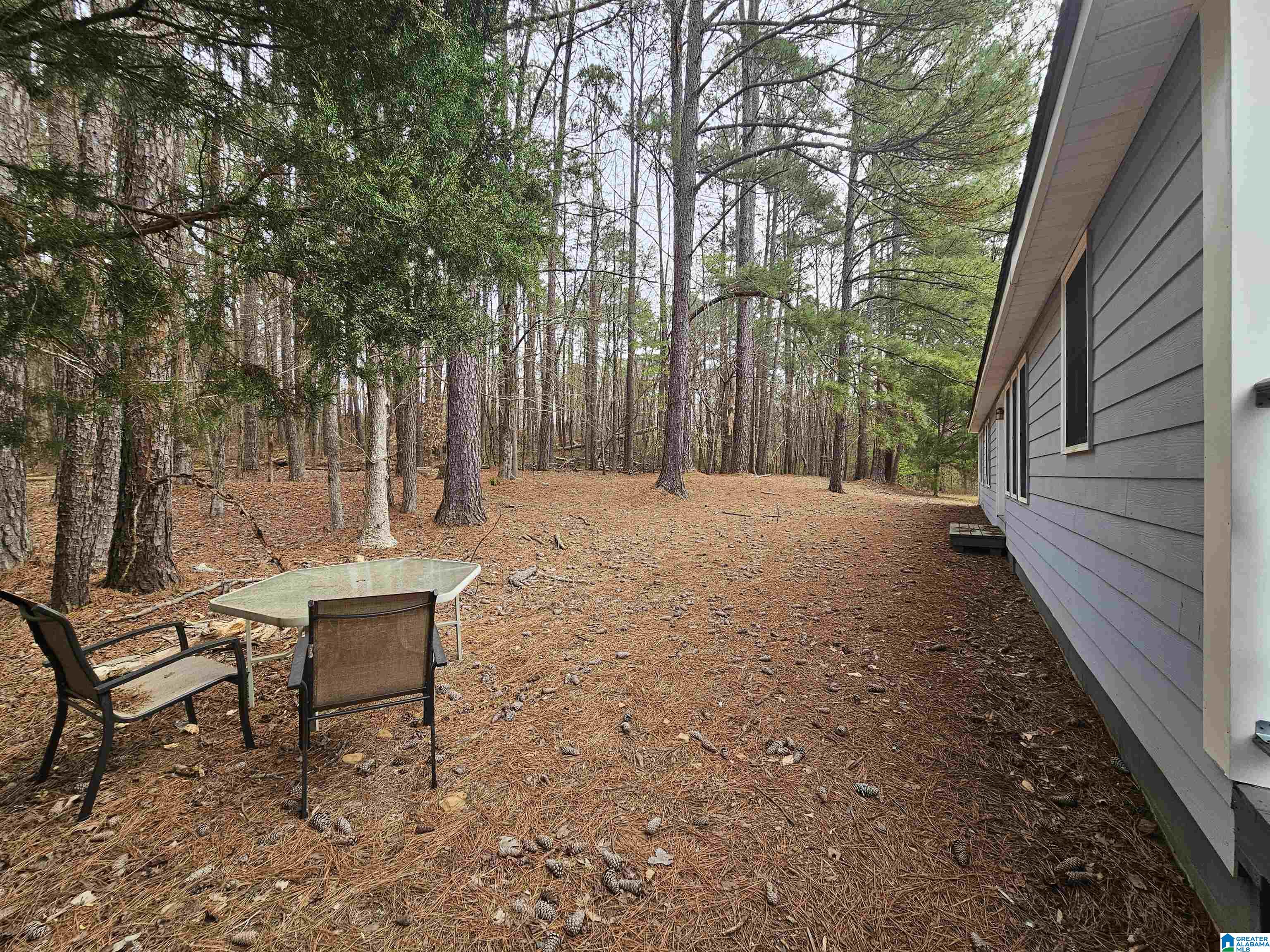 2176 Old Hayden Road Warrior, AL 35180 - Photo 21 of 25
