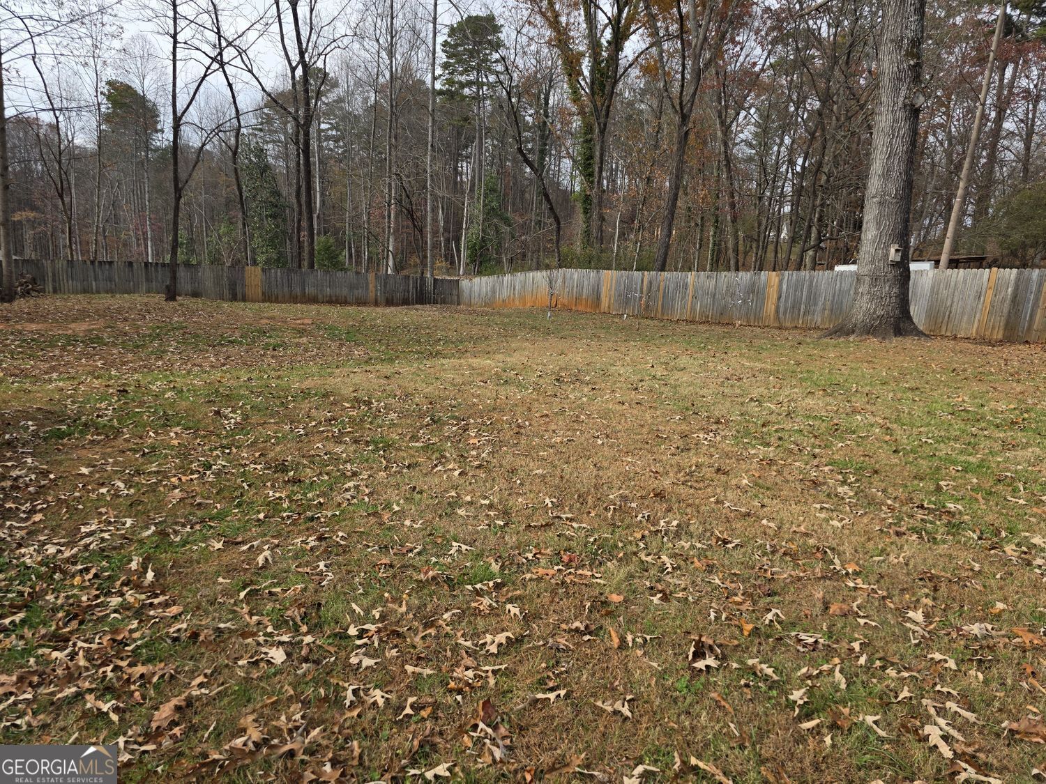 1867 Highway 197 Clarkesville, GA 30523 - Photo 19 of 27 Fenced Back yard