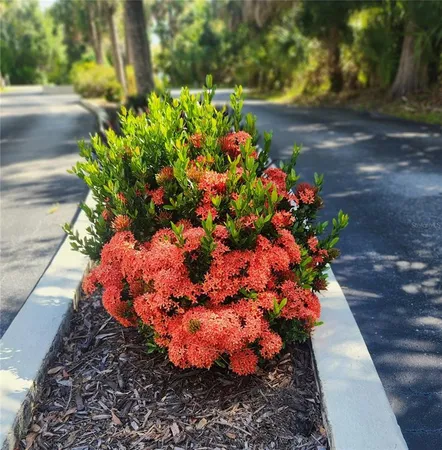 a view of a sign in a yard