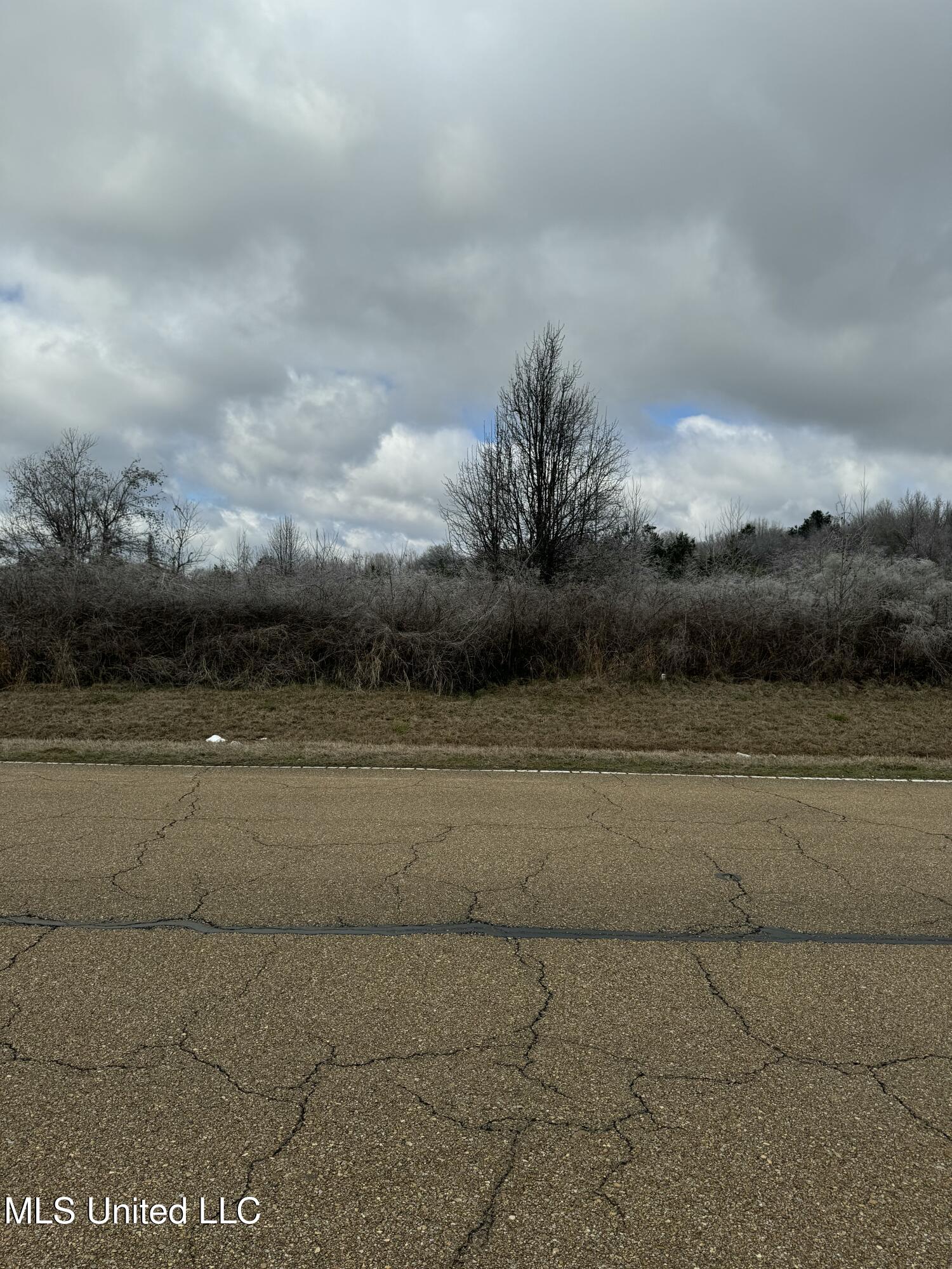 Sowell Road Madison, MS 39110 - Photo 4 of 7 IMG_1860