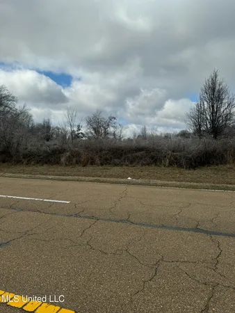 $1,319,868 | Sowell Road, Madison, MS 39110