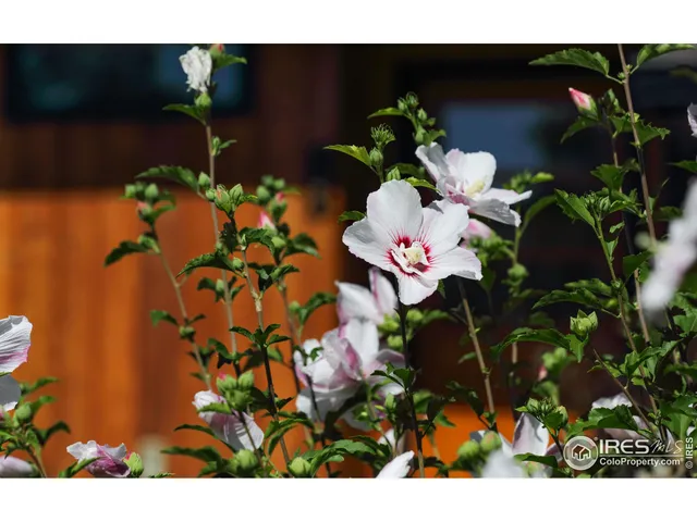 $1,475,000 | 125 Longs Peak Drive, Lyons, CO 80540