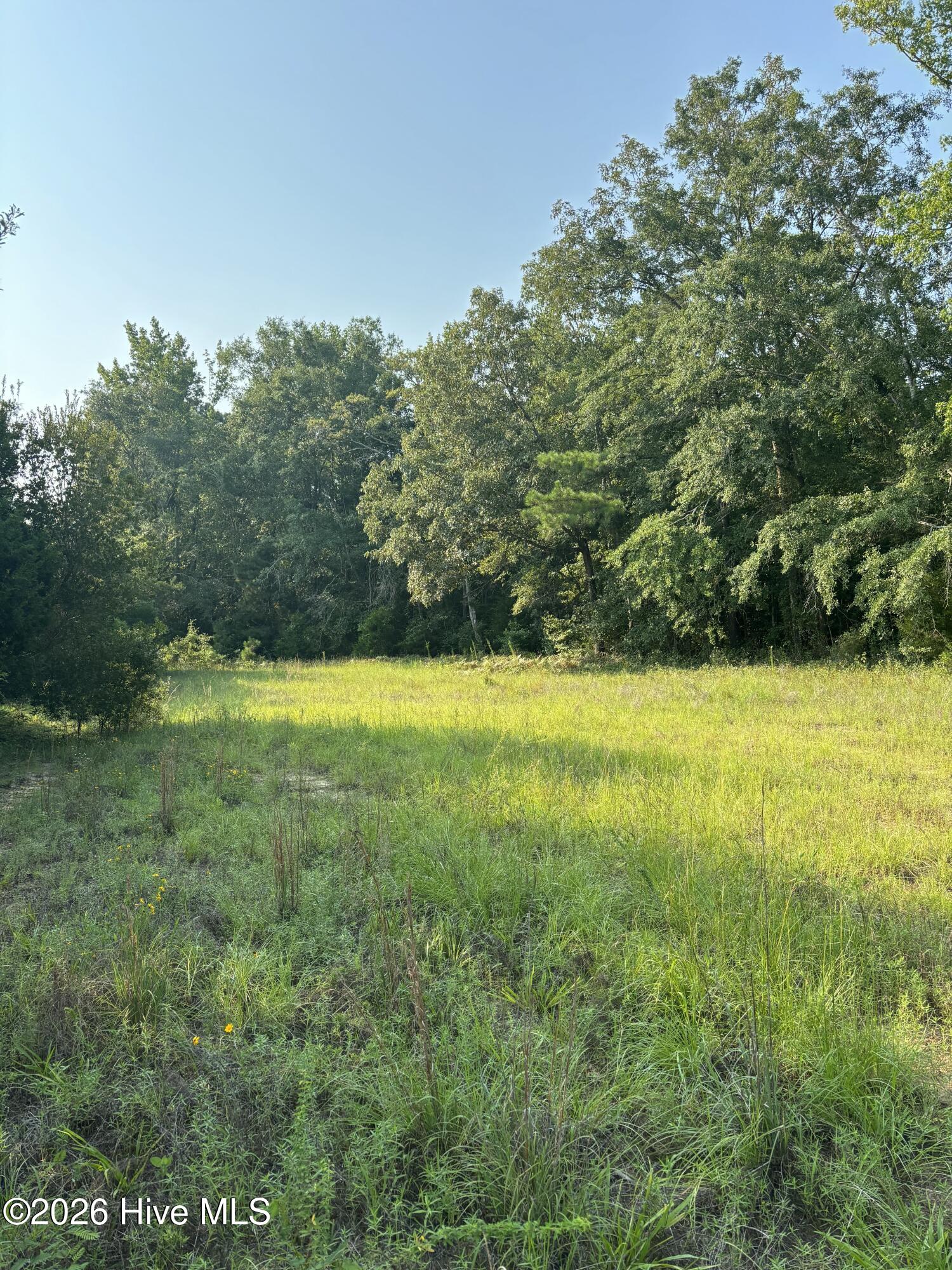 0 Magnolia Church Road Gibson, GA 30810 - Photo 2 of 2 Gallery Image 2