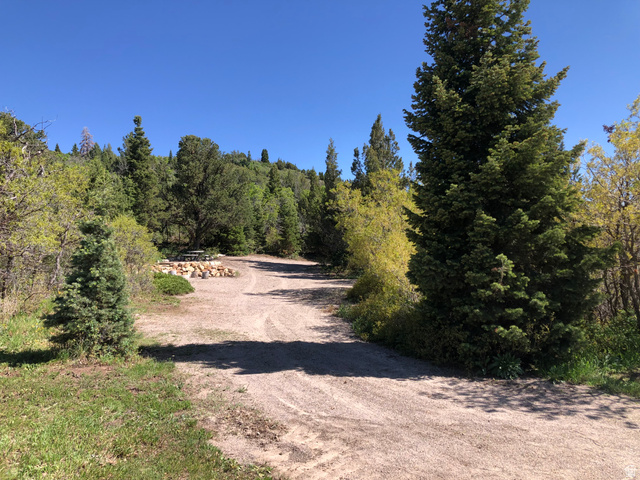 149 Meadow Road, Unit 149 Mount Pleasant, UT 84647 - Photo 11 of 16 View of street featuring a forest view
