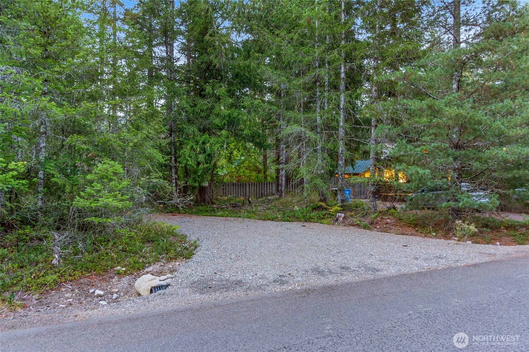109 Big Creek Road Ashford, WA 98304 - Photo 12 of 15 a view of a road with trees in the background