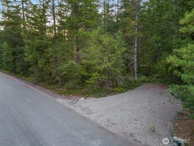 a view of a plants and small yard