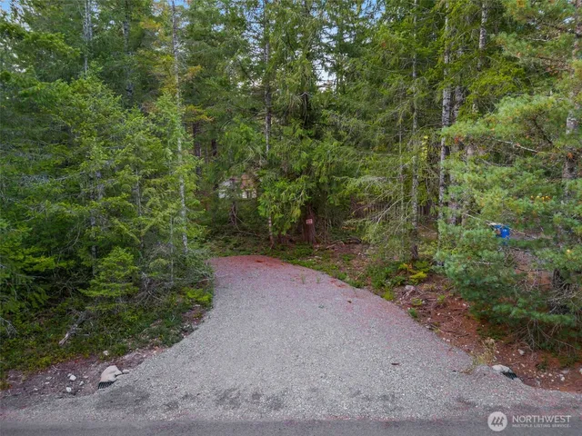 a view of a plants with pathway