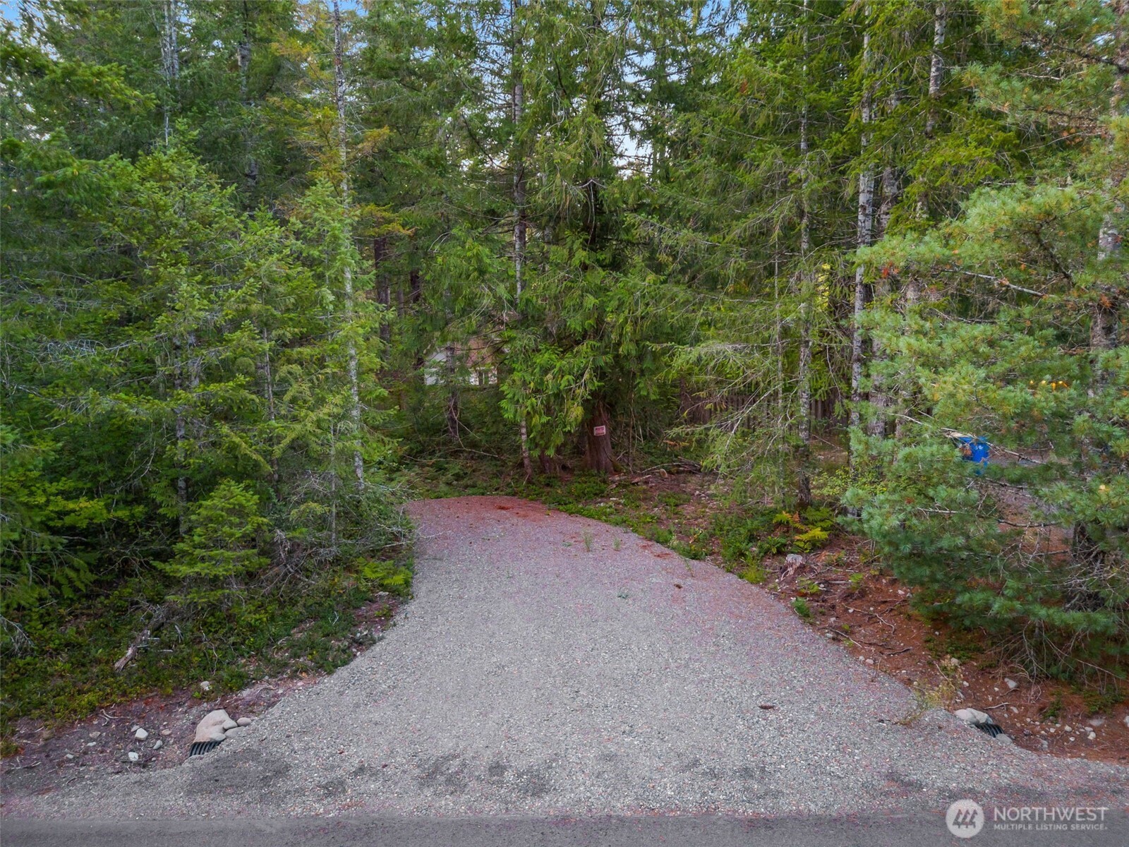109 Big Creek Road Ashford, WA 98304 - Photo 14 of 15 a view of a plants with pathway