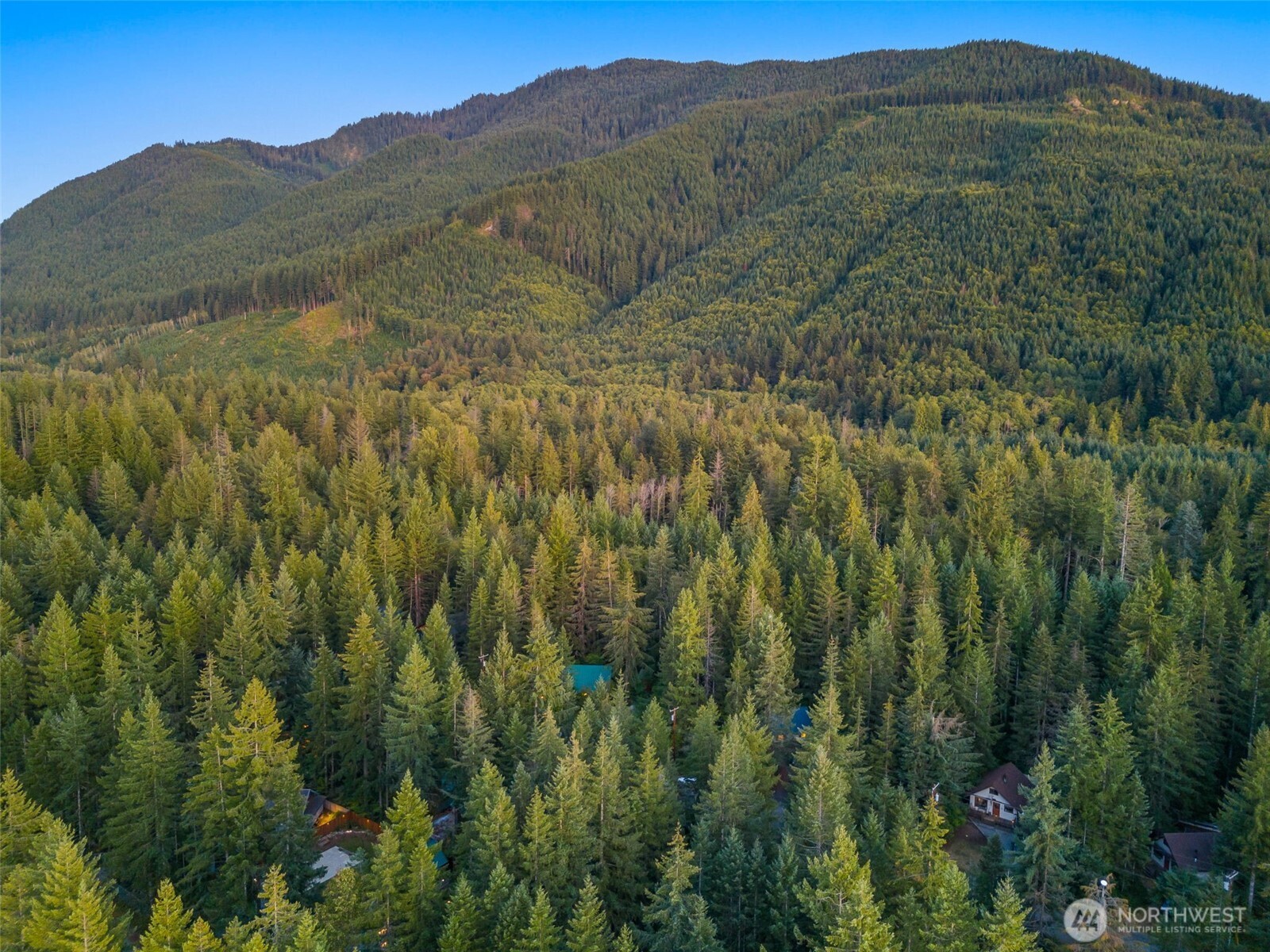 109 Big Creek Road Ashford, WA 98304 - Photo 7 of 15 a view of a lush green hillside and a building