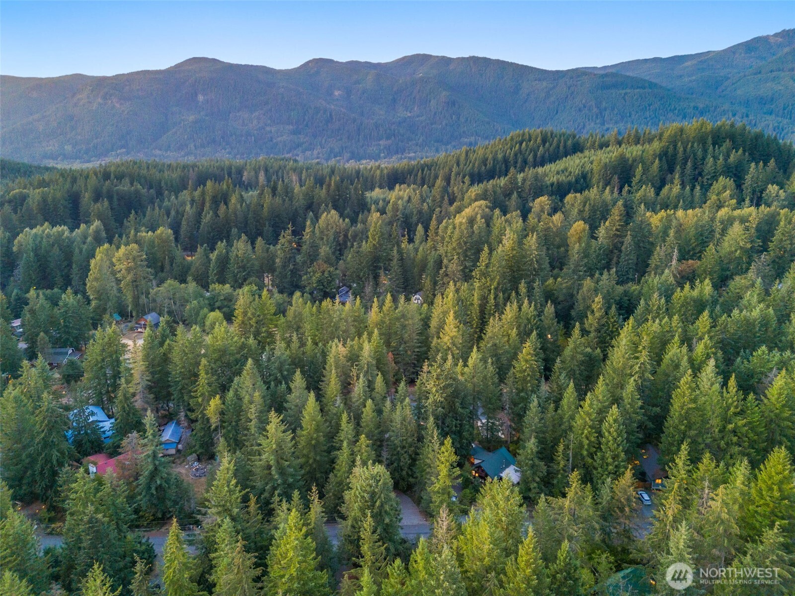 109 Big Creek Road Ashford, WA 98304 - Photo 8 of 15 a view of a forest with a street