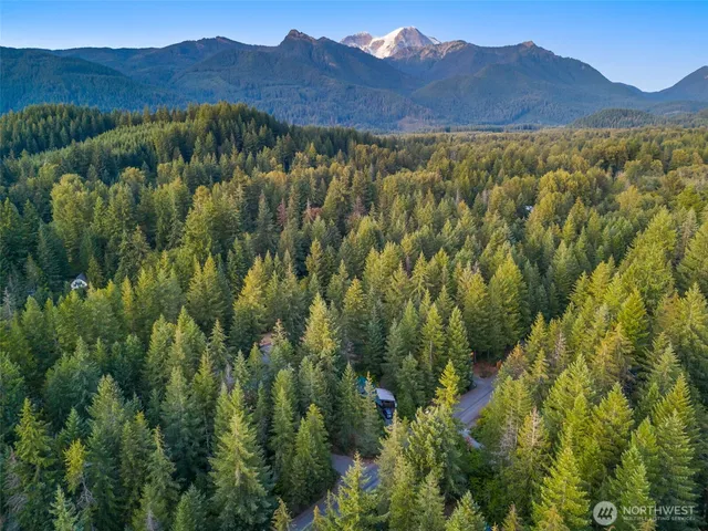 a view of an mountain with a forest