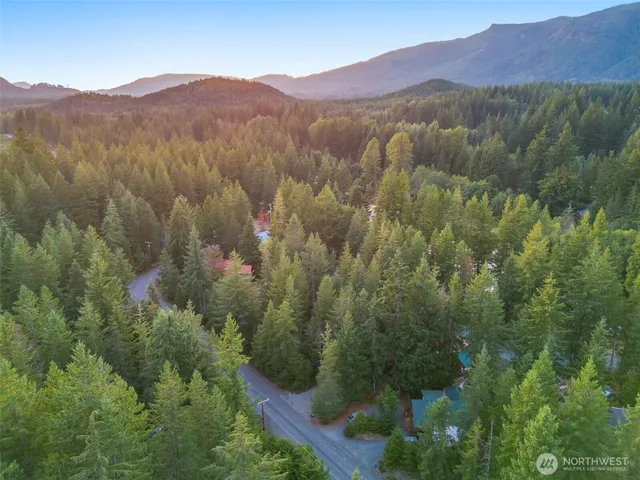a view of a forest with a mountain