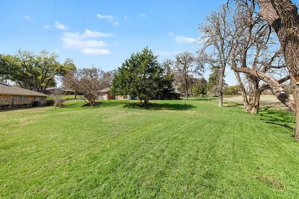 a view of a park with large trees
