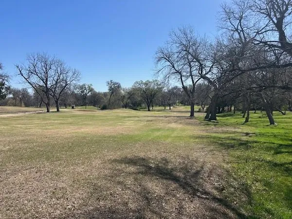 a view of outdoor space with trees all around