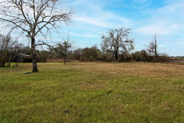 a view of a field with a tree in it