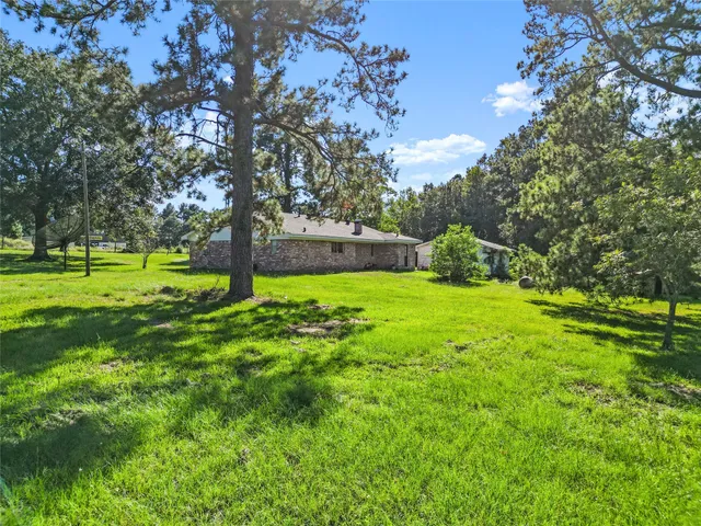 a view of a big yard with large trees