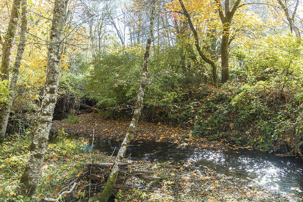 1263 Waldo Road Cave Junction, OR 97523 - Photo 81 of 82 82