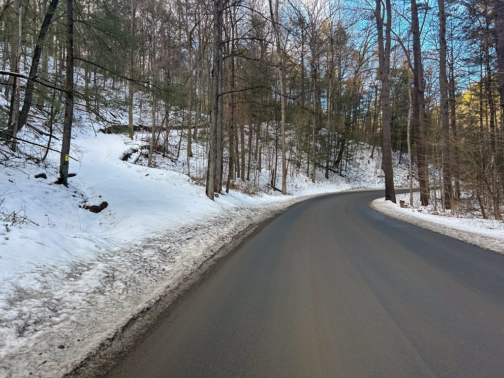 0 Brook Road Shelburne Falls, MA 01370 - Photo 15 of 17 a view of a yard with a tree