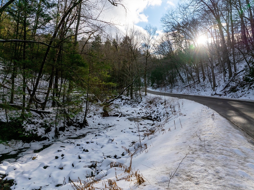 0 Brook Road Shelburne Falls, MA 01370 - Photo 2 of 17 a view of a dry yard with trees