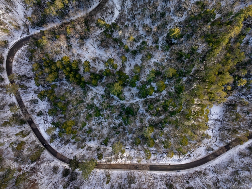 0 Brook Road Shelburne Falls, MA 01370 - Photo 3 of 17 a view of a yard