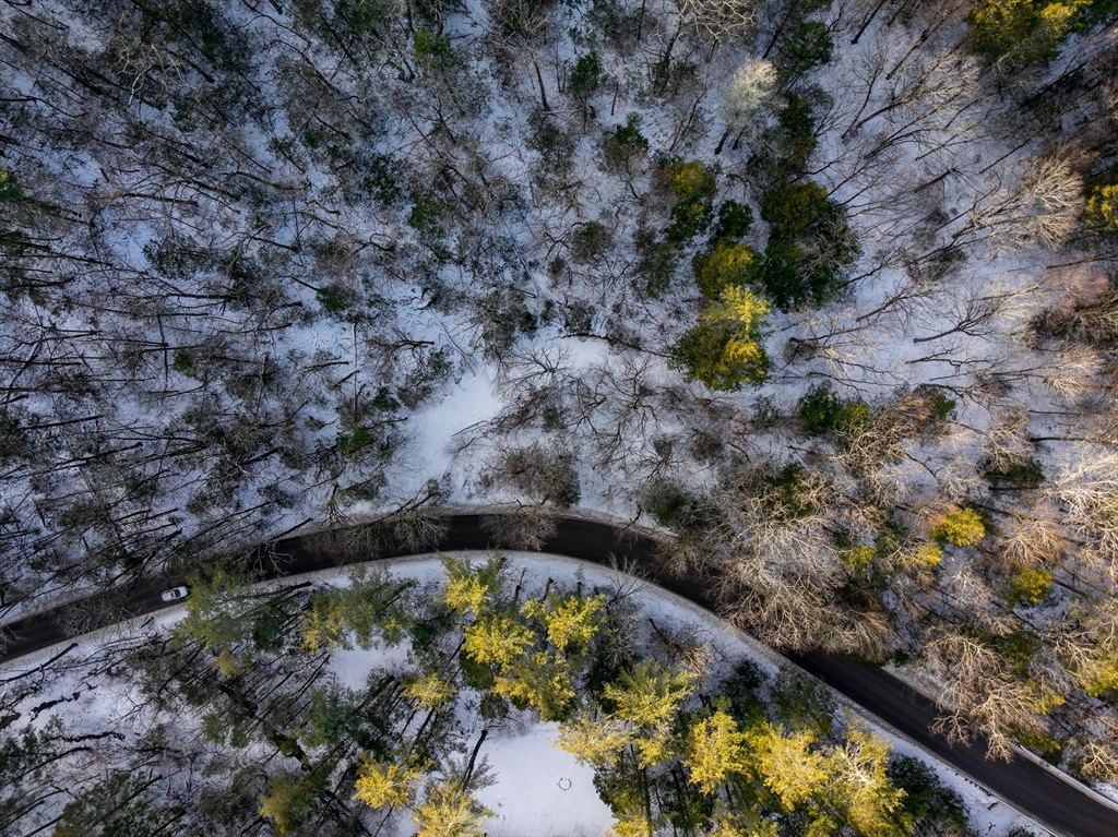 0 Brook Road Shelburne Falls, MA 01370 - Photo 4 of 17 a view of swimming pool with a yard