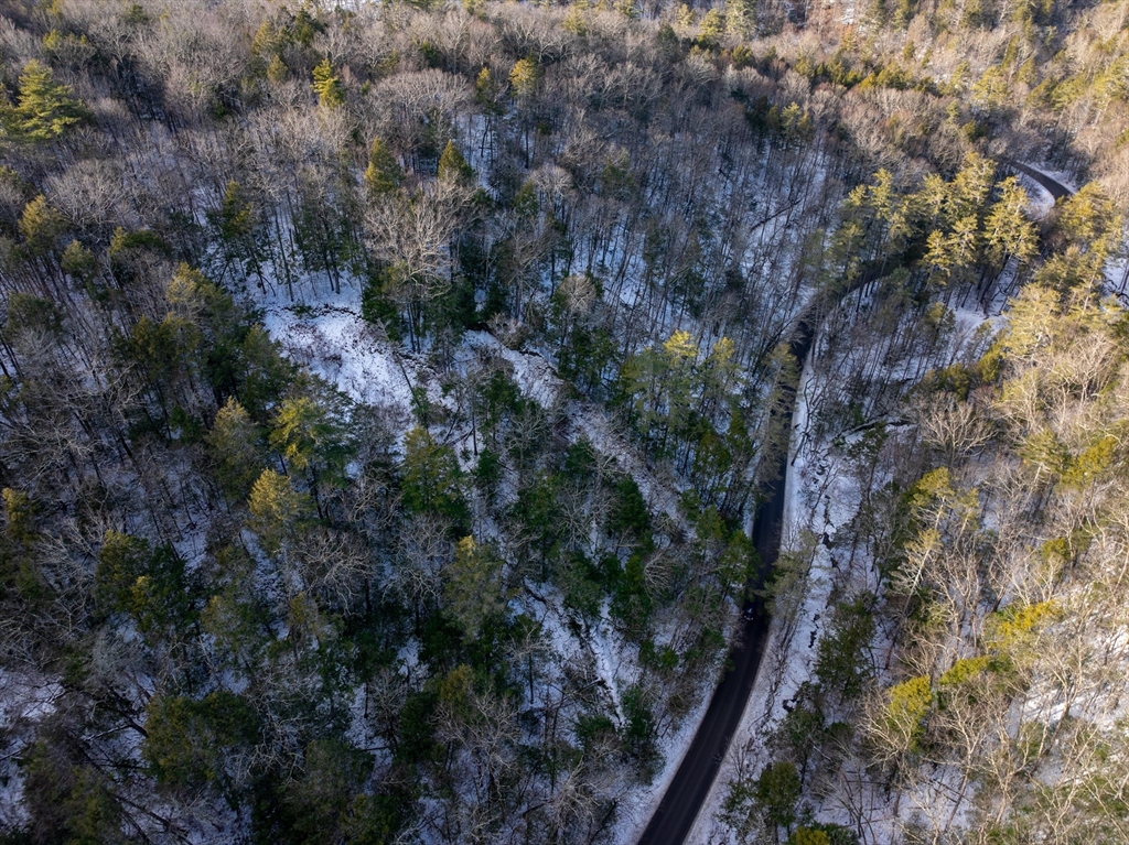 0 Brook Road Shelburne Falls, MA 01370 - Photo 5 of 17 a view of a forest with a tree