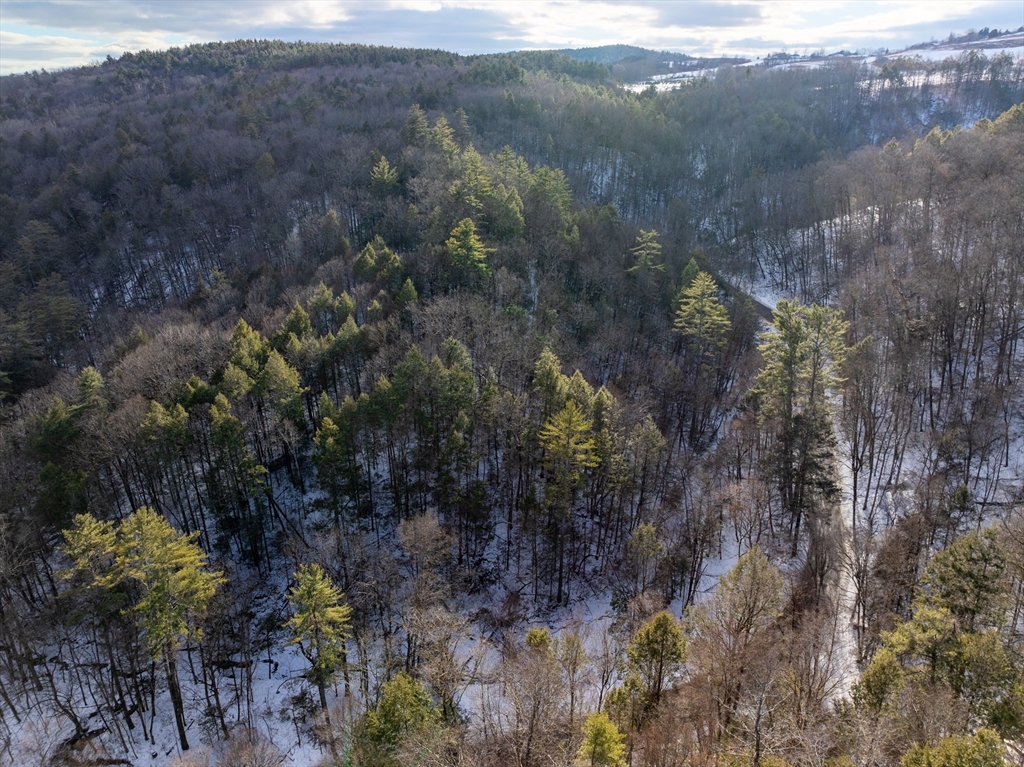 0 Brook Road Shelburne Falls, MA 01370 - Photo 8 of 17 a view of a forest with a forest