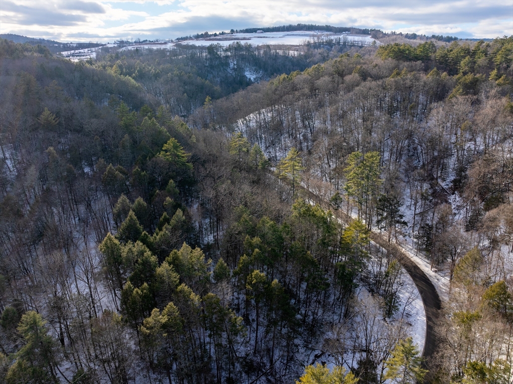 0 Brook Road Shelburne Falls, MA 01370 - Photo 9 of 17 a view of a forest with a lush green forest