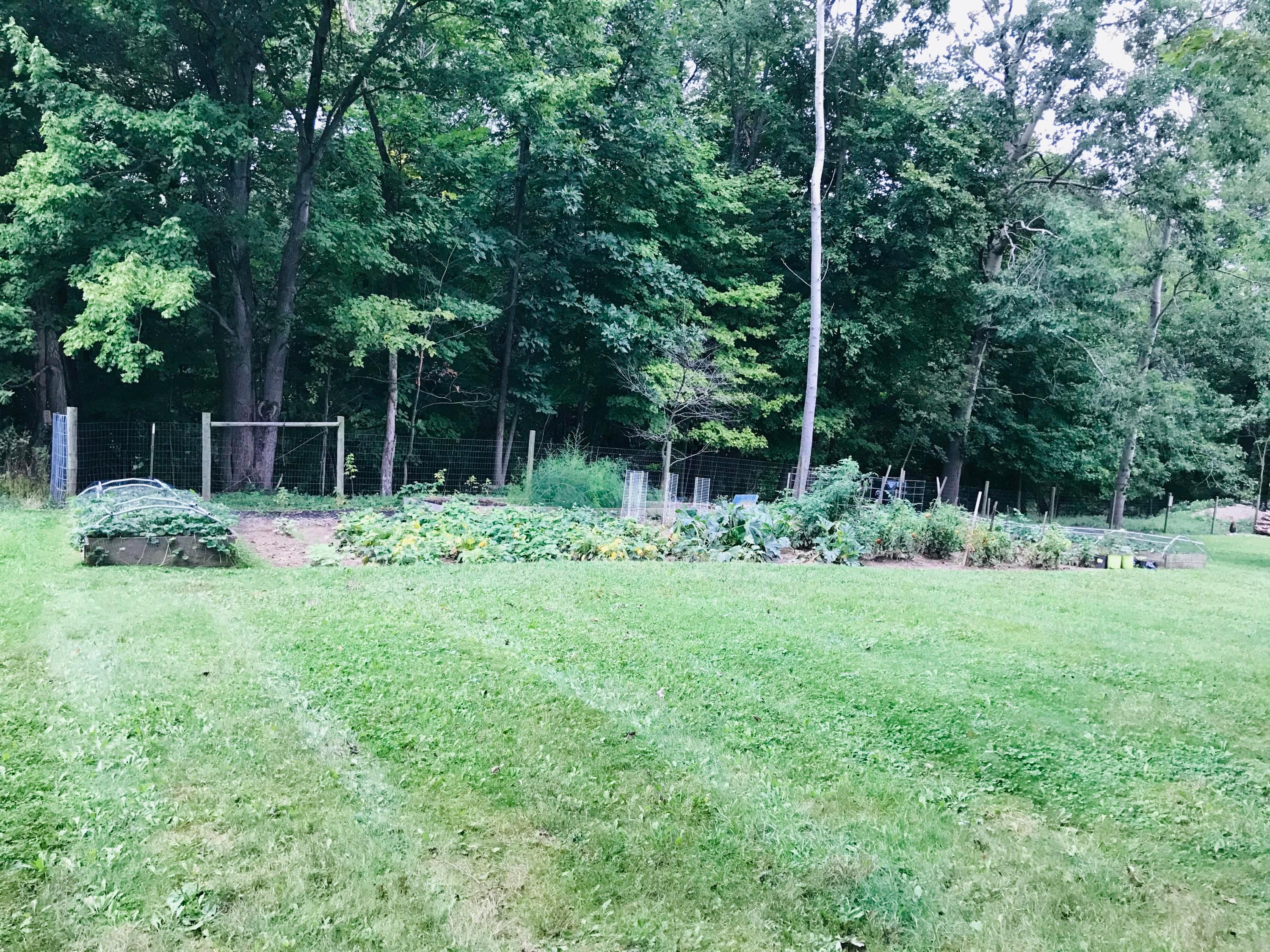 6265 Lock Road Centerburg, OH 43011 - Photo 8 of 25 Gallery Image 8