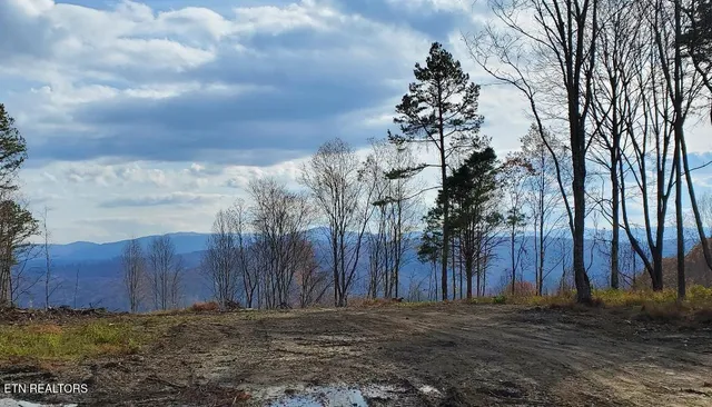 $199,000 | Bull Creek Road, Huntsville, TN 37756