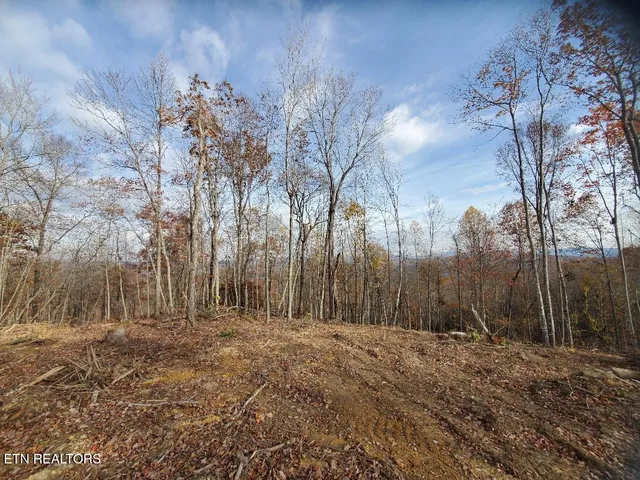 $199,000 | Bull Creek Road, Huntsville, TN 37756